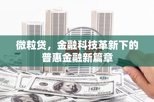 稻城微粒贷，金融科技革新下的普惠金融新篇章