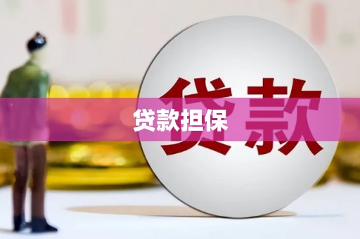 稻城贷款担保