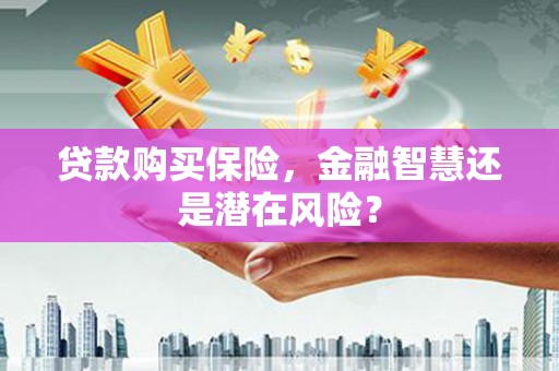 稻城贷款购买保险，金融智慧还是潜在风险？