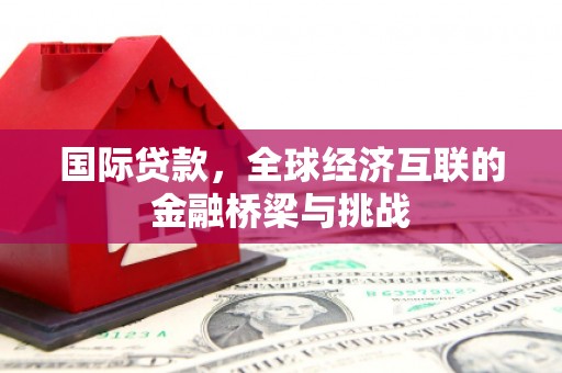 稻城国际贷款，全球经济互联的金融桥梁与挑战
