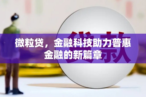 稻城微粒贷，金融科技助力普惠金融的新篇章