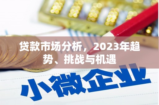 稻城贷款市场分析，2023年趋势、挑战与机遇