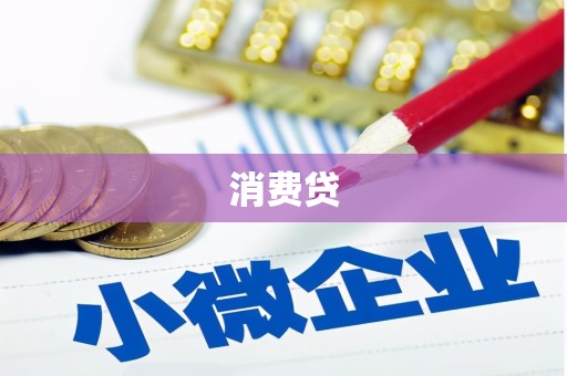 稻城消费贷