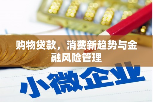 稻城购物贷款，消费新趋势与金融风险管理