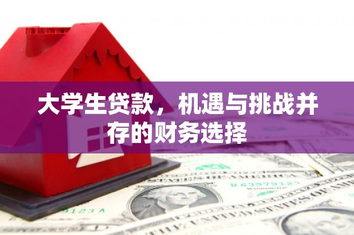 稻城大学生贷款，机遇与挑战并存的财务选择