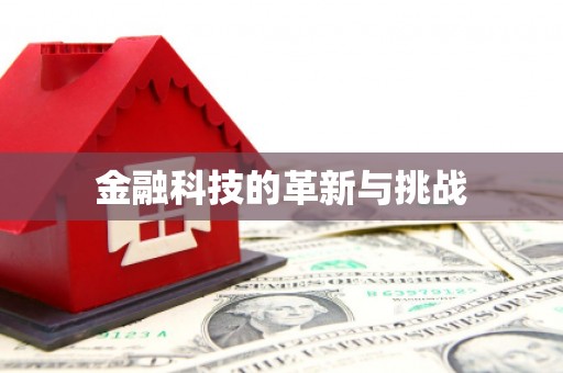 稻城金融科技的革新与挑战