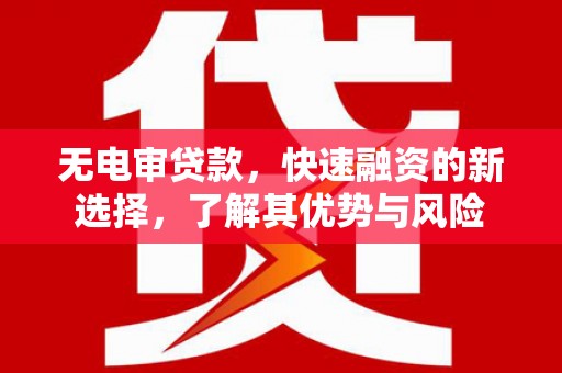稻城无电审贷款，快速融资的新选择，了解其优势与风险