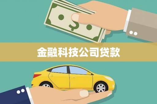 稻城金融科技公司贷款