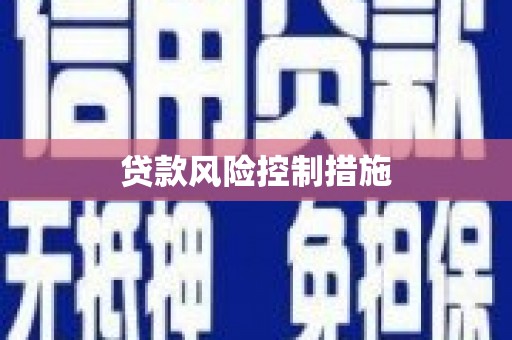 稻城贷款风险控制措施