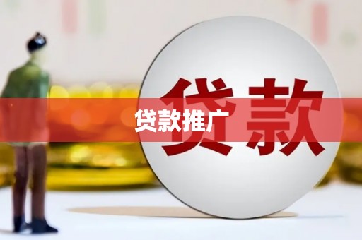 稻城贷款推广