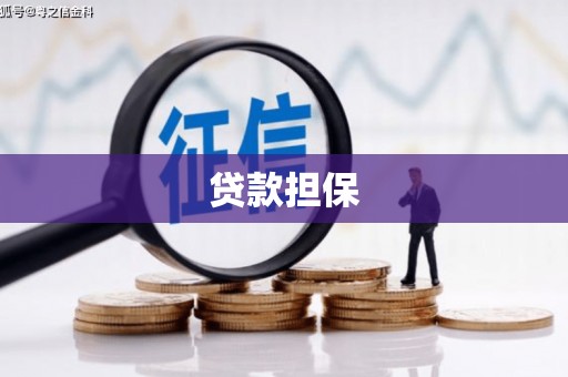 稻城贷款担保