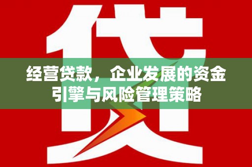 稻城经营贷款，企业发展的资金引擎与风险管理策略