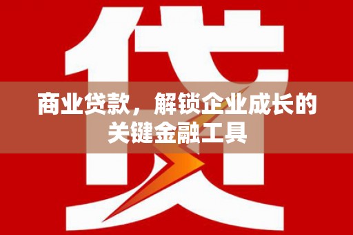 稻城商业贷款，解锁企业成长的关键金融工具