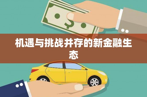 稻城机遇与挑战并存的新金融生态