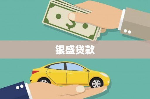 稻城银盛贷款