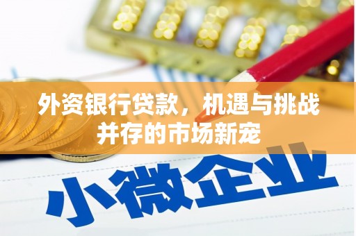 稻城外资银行贷款，机遇与挑战并存的市场新宠