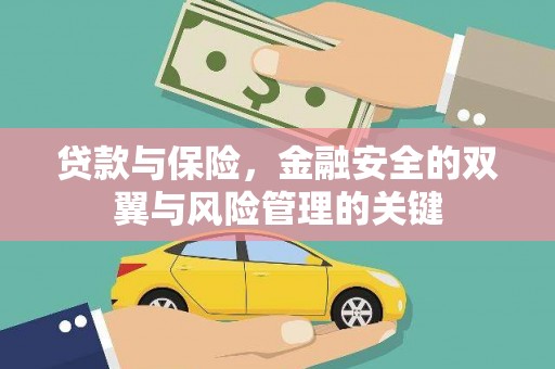 稻城贷款与保险，金融安全的双翼与风险管理的关键