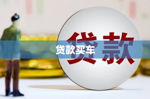 稻城贷款买车
