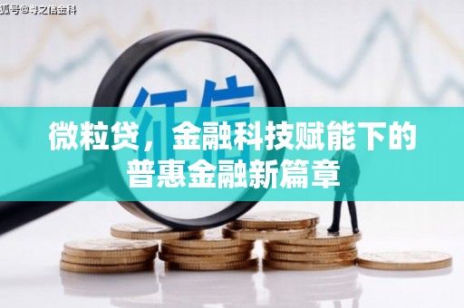 稻城微粒贷，金融科技赋能下的普惠金融新篇章