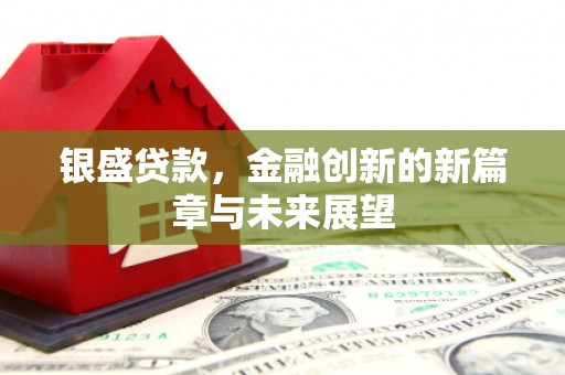 稻城银盛贷款，金融创新的新篇章与未来展望