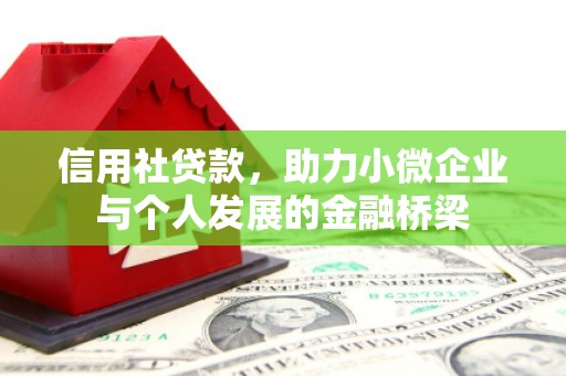 稻城信用社贷款，助力小微企业与个人发展的金融桥梁