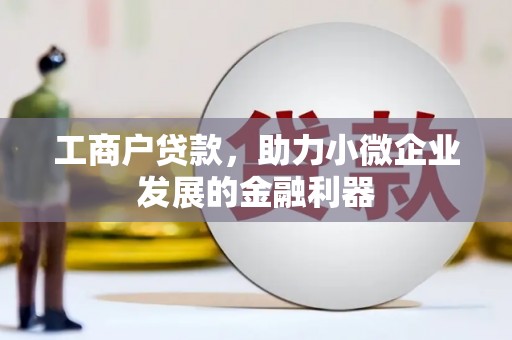 稻城工商户贷款，助力小微企业发展的金融利器