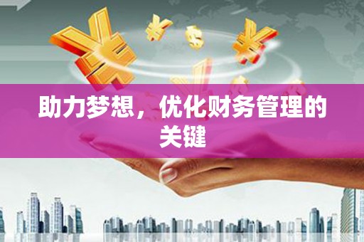 稻城助力梦想，优化财务管理的关键