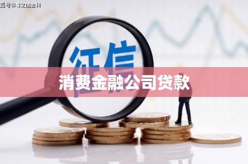 稻城消费金融公司贷款