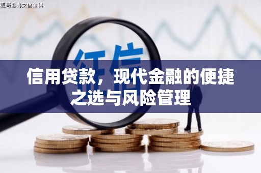 稻城信用贷款，现代金融的便捷之选与风险管理