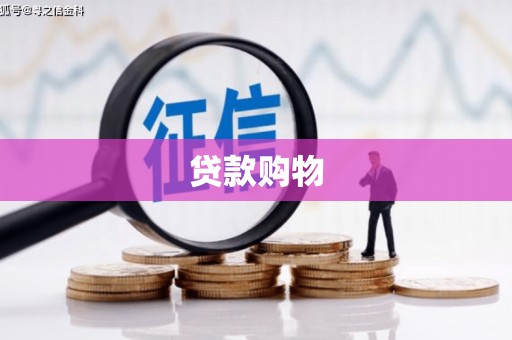 稻城贷款购物