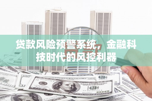 稻城贷款风险预警系统，金融科技时代的风控利器
