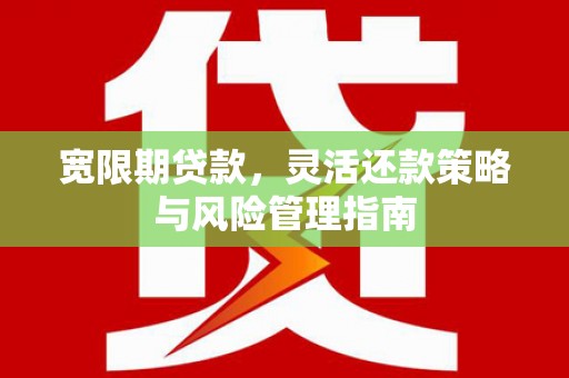 稻城宽限期贷款，灵活还款策略与风险管理指南