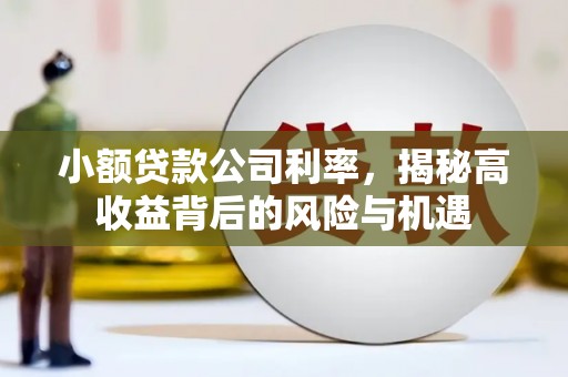 稻城小额贷款公司利率，揭秘高收益背后的风险与机遇