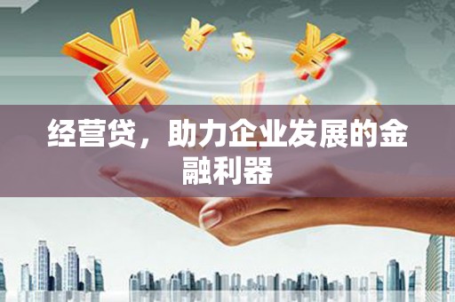 稻城经营贷，助力企业发展的金融利器