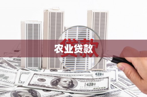 稻城农业贷款