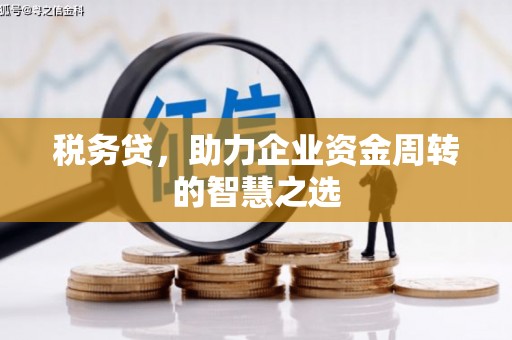 稻城税务贷，助力企业资金周转的智慧之选