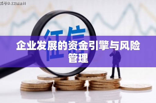 稻城企业发展的资金引擎与风险管理