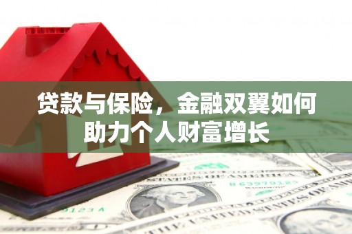 稻城贷款与保险，金融双翼如何助力个人财富增长