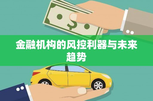 稻城金融机构的风控利器与未来趋势