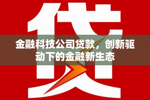 稻城金融科技公司贷款，创新驱动下的金融新生态