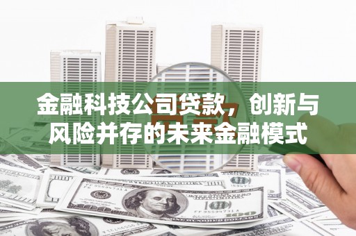 稻城金融科技公司贷款，创新与风险并存的未来金融模式