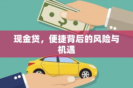 稻城现金贷，便捷背后的风险与机遇