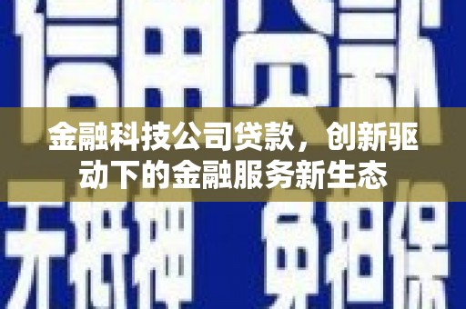 稻城金融科技公司贷款，创新驱动下的金融服务新生态