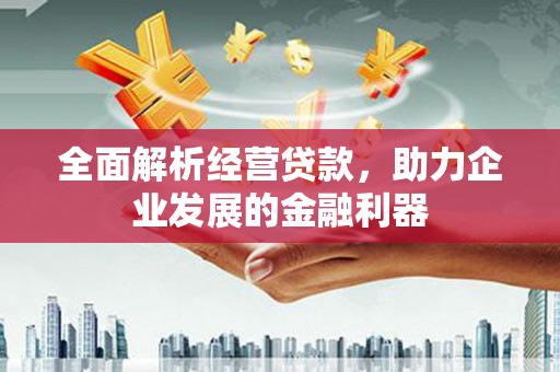 稻城全面解析经营贷款，助力企业发展的金融利器