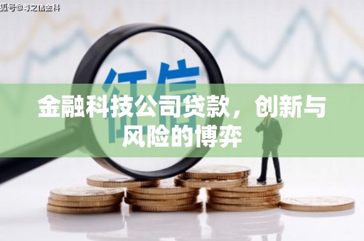 稻城金融科技公司贷款，创新与风险的博弈