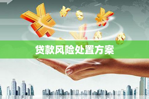 稻城贷款风险处置方案