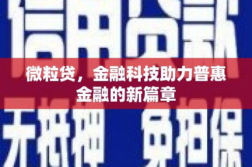 稻城微粒贷，金融科技助力普惠金融的新篇章
