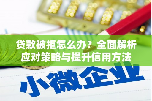 稻城贷款被拒怎么办？全面解析应对策略与提升信用方法