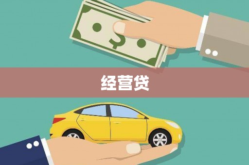 稻城经营贷