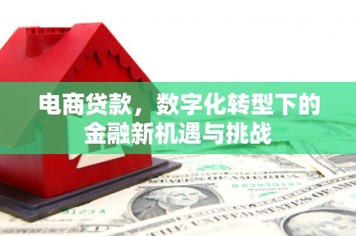 稻城电商贷款，数字化转型下的金融新机遇与挑战